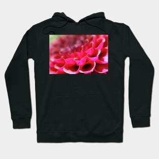 Dahlia Delicacy Hoodie